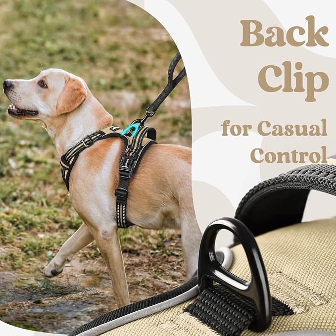 rabbitgoo Dog Harness for Large, No Pull Easy On & Off with 3 Buckles Pet Harness, Adjustable Soft Walking Vest with 2 Clips and Handle, Reflective for Extra Large Dogs, Beige, XL