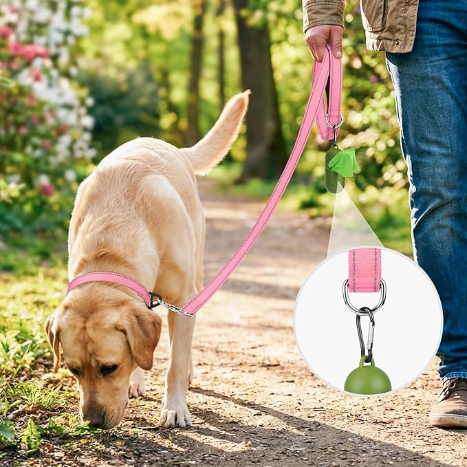 Joytale Dog Leash, 5 FT Double-Sided Reflective, Padded Handle Nylon Heavy Duty Leashes for Medium & Large Dogs Walking, Pink