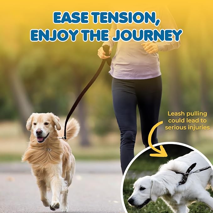 SunGrow Pet Training Leash, Heavy-Duty Polypropylene Walking Leash, 360-degree Swivel Hook, Dog/Puppy Obedience, Recall, Agility Lead, Leisure & Adventure Walking, Black, 15 feet x 0.8 inches