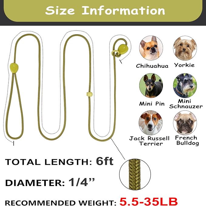 Green 6FT Heavy Duty Dog Training Leash - Comfortable Rope, No Pull, Suitable for Small to Medium Dogs