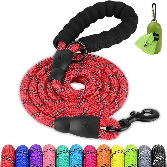 Joytale Dog Leash for Small Dogs, Heavy Duty Nylon Leashes with Comfortable Padded Handle and Highly Reflective Threads, Ideal for Walking and Training, Red, 5'×3/8''