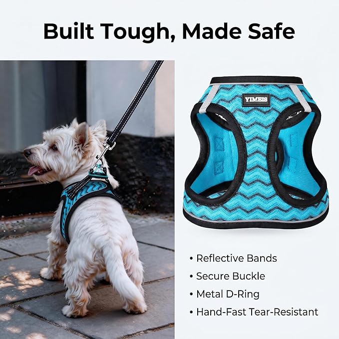 YIMEIS Dog Harness and Leash Set, No Pull Soft Mesh Pet Harness, Reflective Adjustable Puppy Vest for Small Medium Large Dogs, Cats (Blue-Update, X-Small (Pack of 1))