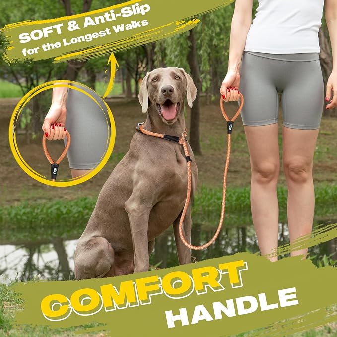 Fida Durable Slip Lead Dog Leash Bulk Pack of 5, Heavy Duty 1/2" x 6 FT Comfortable Strong Rope Slip Lead for Large, Medium Dogs No Pulling Pet Training Leash with Highly Reflective (Orange)