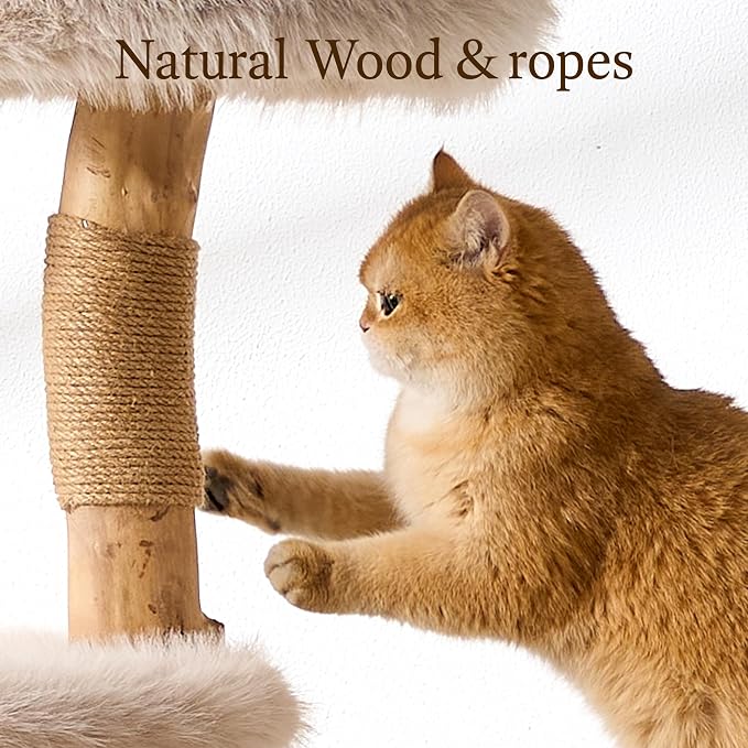 HITTITE Natural Wood Cat Tree Tower with Scratching Post, 53.5 Inches Tall Modern Cat Tower with Cozy Bed and Condo, Luxury Real Branch Cat Tree for Indoor Cats Large Adult, Khaki.
