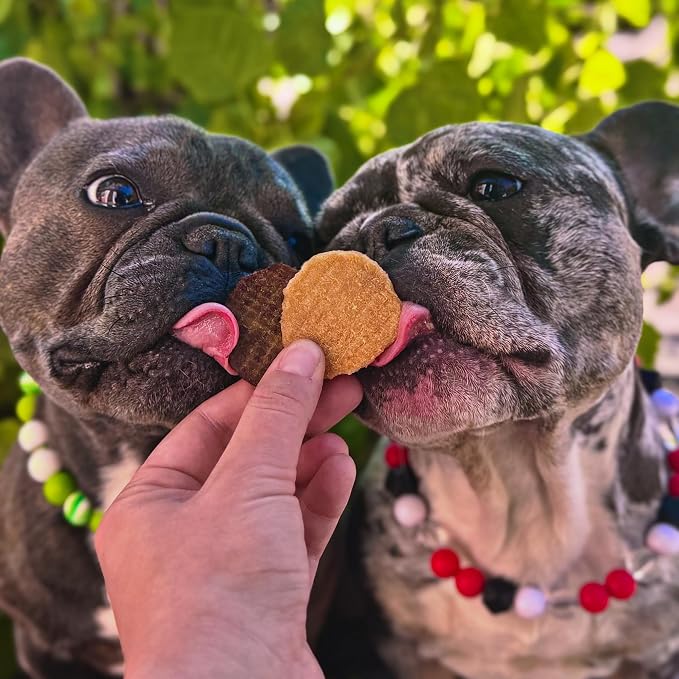 Farm To Pet - Dog Training Treats - Chicken Chips, Single Ingredient - 4 oz, Lean, All Natural, Healthy Dog Treats for Small, Medium, Large Breeds, & Puppies, Made in USA