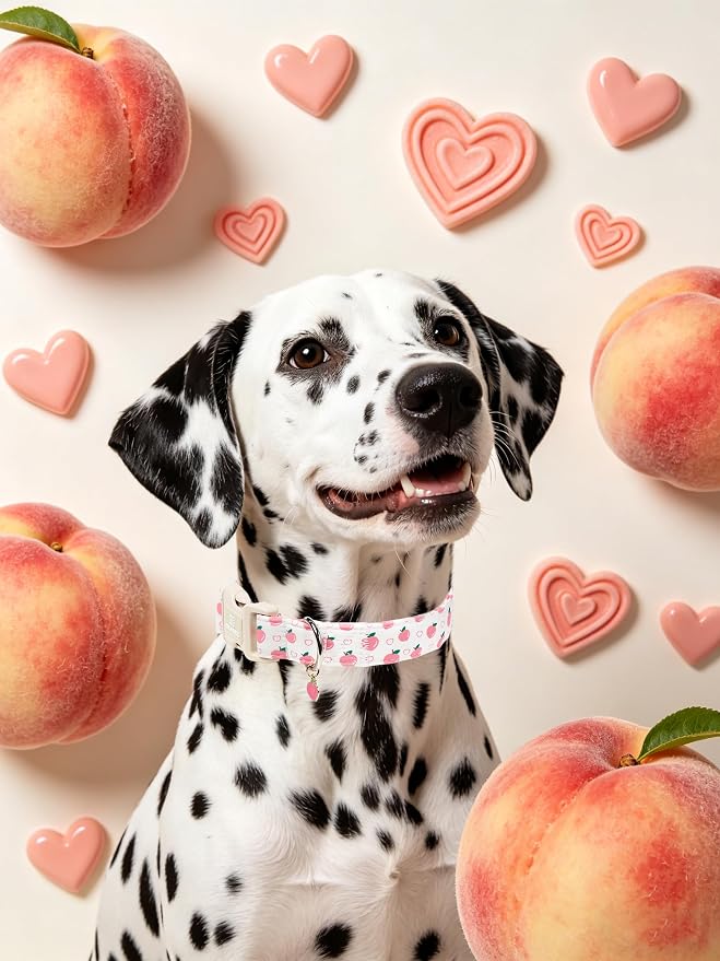 Maca Bates Basic Dog Collar with Peach Charm for Large Girl Boy Dogs,Pink Cute Peaches Hearts Pattern,Pretty Adjustable Durable Collars,Gift for Male Female Puppy