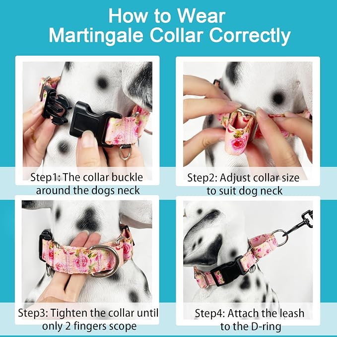 Female Martingale Dog Collar with Buckle Cute Girl Pink Floral Dog Collars for Medium Dogs, Watercolor Pink Rose