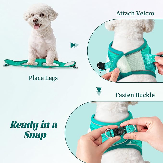 YIMEIS Dog Harness and Leash Set, No Pull Soft Mesh Pet Harness, Reflective Adjustable Puppy Vest for Small Medium Large Dogs, Cats (Turquoise, X-Small (Pack of 1)