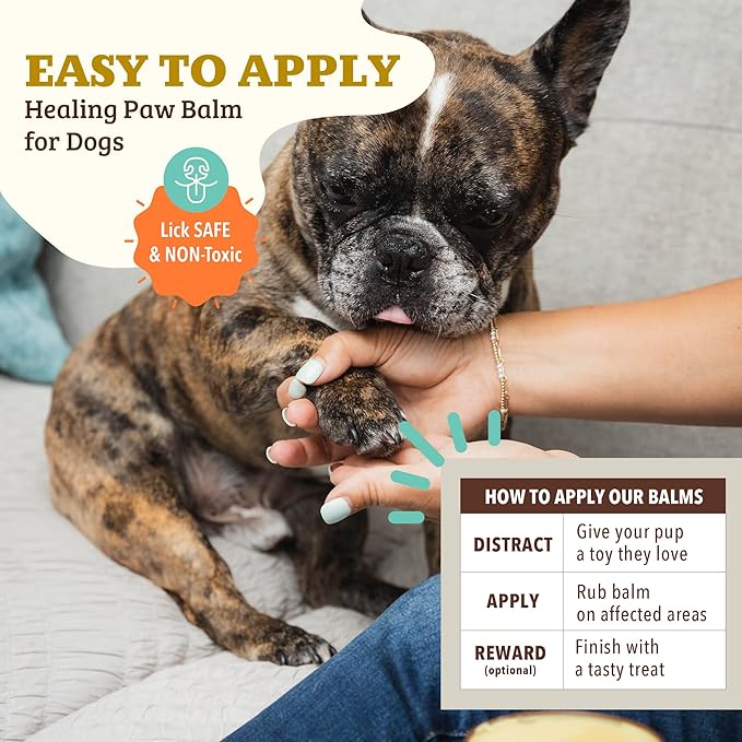 Natural Dog Company Paw Soother Dog Paw Balm – Moisturizes Dry Cracked Paws After Walks, Hot Pavement, Beach Sand, Hiking & Outdoor Play with Coconut Oil & Calendula, Daily Paw Care, 4 oz Tin