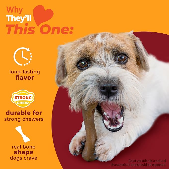 Nylabone Strong Chew Femur Bone Dog Toy Made with Real Bison & Venison, Durable Chew Toys for Aggressive Chewers, Long Lasting Dog Bone, Keeps Dogs Busy, Small Breeds - Up to 25 lbs