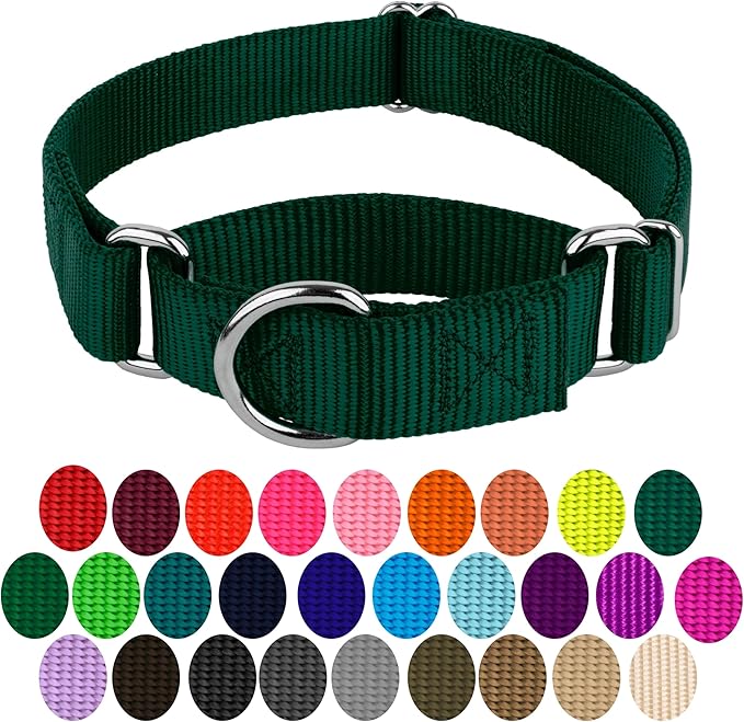 Country Brook Petz - Martingale Dog Collar - Heavy-Duty Training Collar with No Buckle - Service Dog Collar for All Pups - 20 Vibrant Colors (Green, 3/4 Inch, Small)