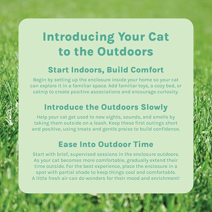 Kitty City Outdoor Catio Furniture and Play Kits for Cats, Play Combo