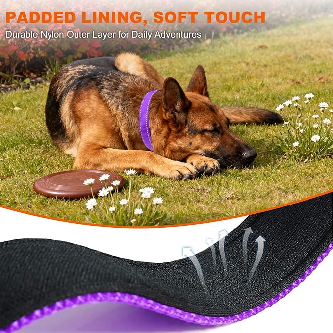 Taglory Reflective Dog Collar for Large Dogs, Soft Neoprene Padded with Escape-Proof Locking Buckle, Upgraded Zinc Alloy Ring, Adjustable for Pitbull Labrador Retriever, Purple,L