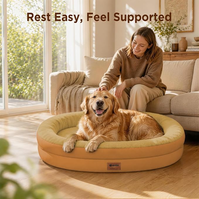 Orthopedic Dog Bed for Medium Dogs, Waterproof Dog Bed with Removable Bolsters, Egg Crate Foam Pet Couch for Medium Size Dog with Machine Washable Cover & Non-Slip Bottom, Orange
