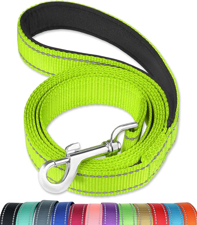 FunTags 4FT Green Reflective Dog Leash for Medium & Small Dogs Training, Soft Padded Handle Comfortable Grip, Heavy Duty Nylon, Reflective for Night Walking, 3/4in Wide
