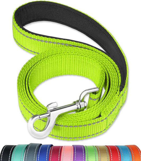 FunTags 4FT Green Reflective Dog Leash for Medium & Small Dogs Training, Soft Padded Handle Comfortable Grip, Heavy Duty Nylon, Reflective for Night Walking, 3/4in Wide