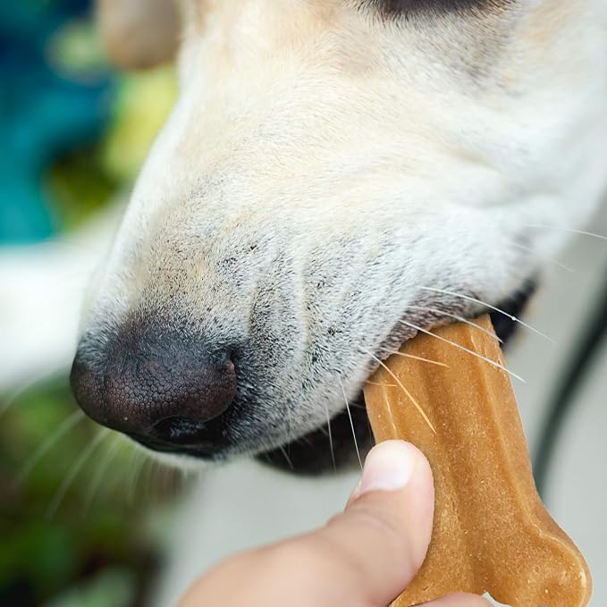 Himalayan Pet Supply Dog Chew Bone - Large | Long Lasting, Stain Free, Protein Rich, Low Odor | 100% Natural, Healthy & Safe | No Lactose, Gluten, Soy or Grains | for Dogs 45 lbs and Over