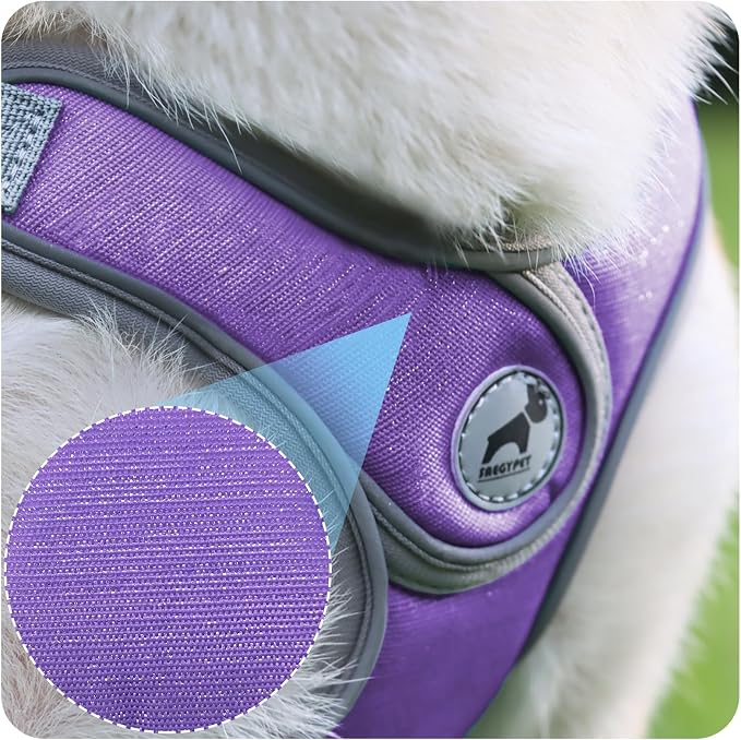 Dog Harness with Leash Set, Adjustable Step in Collars Harness with Breathable Padded Vest for Large Dog Training and Running (L, Purple)