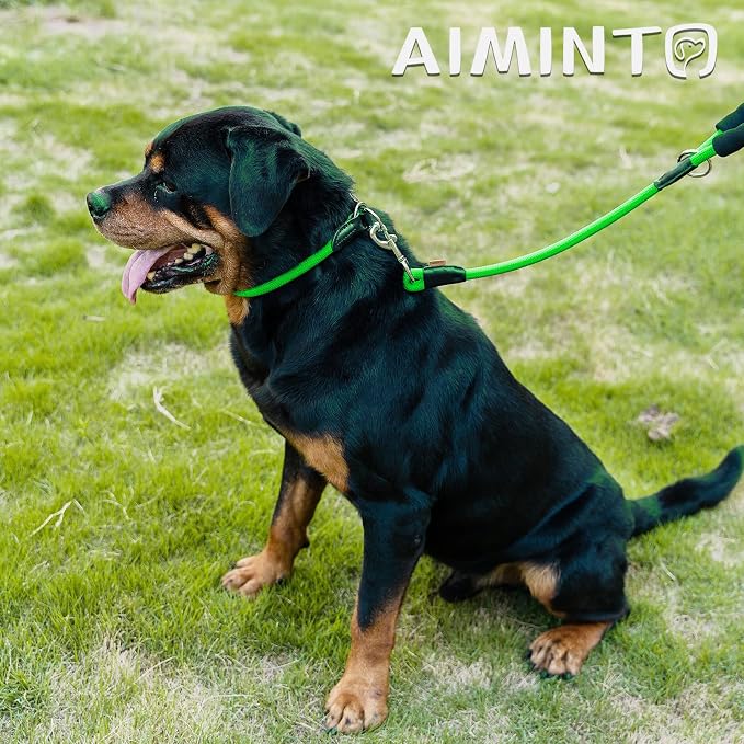 Dog Leash, Braided Rope Traction – Walking Training Lead for Medium/Large Dogs ((1/2") x 2FT, Light Green)
