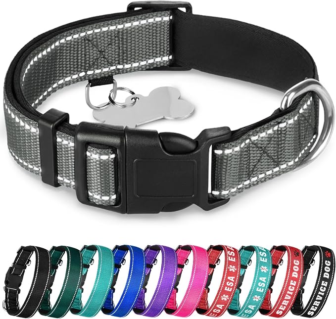 TECEUM Reflective Dog Collar – Gray – S – Extra Soft Padding – Basic Nylon Pet Collar – Quick Release Buckle – Fits Small, Medium and Large Dogs, Puppies, Cats – ESA & Service Dog Options