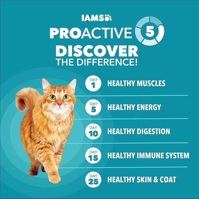 IAMS Proactive Health Dry Cat Food, Indoor Weight and Hairball Care Cat Food Dry Recipe, with Salmon, 22 lb. Bag