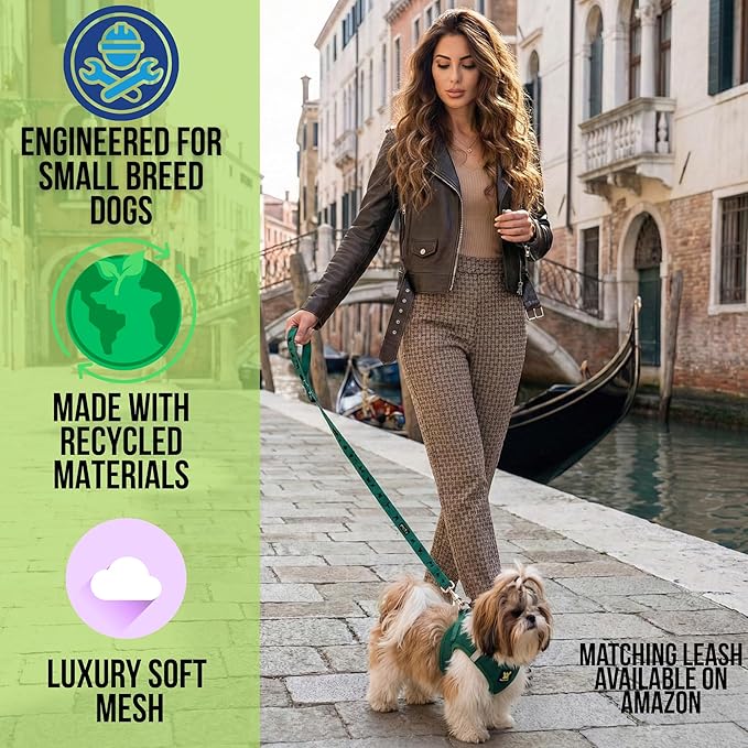 EcoBark Dog Harness - Luxury Step in Mesh Dog Harnesses in Forest Green - Soft & Secure Dog Harness Vest Body Wrap