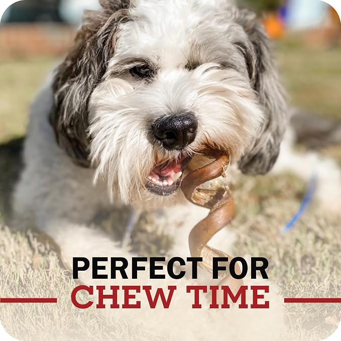 Redbarn Pet Products 9" Bully Sticks for Dogs, Pack of 50