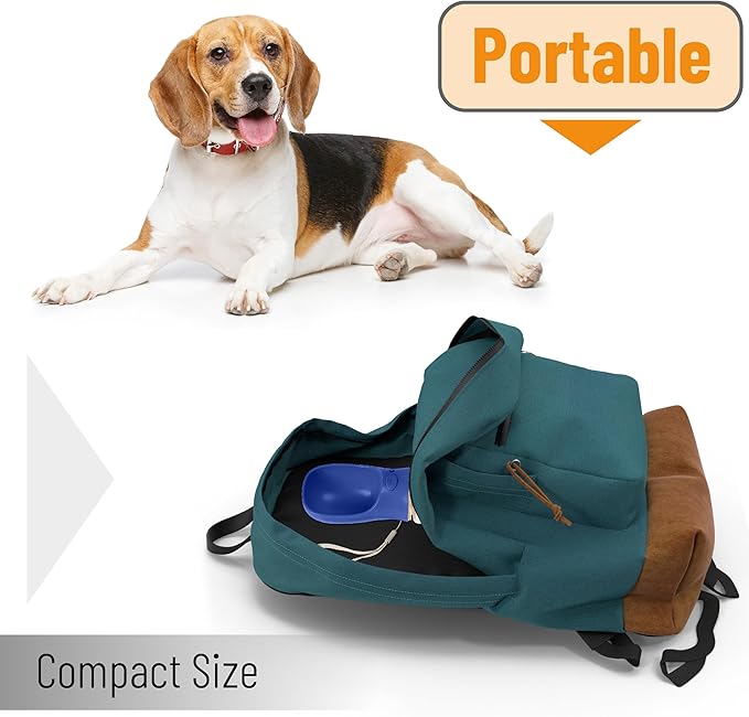 Mr. Pen- Portable Dog Water Bottle, 19 oz, Large, Leak Proof Puppy Water Dispenser with Drinking Feeder for Pets, Outdoor Walking, Hiking, Travel, Not Dishwasher Safe