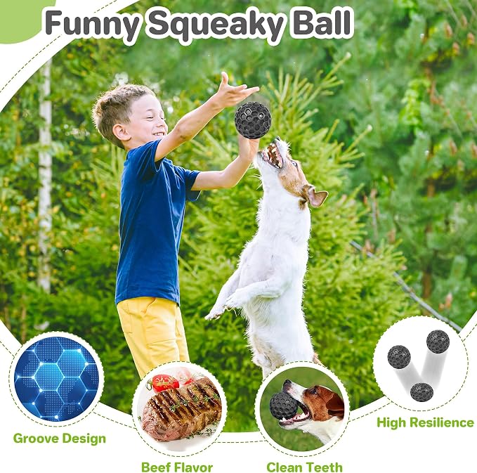 DISSKNIC Indestructible Squeaky Dog Balls, Dog Toys for Aggressive Chewers Large Breed for Relieving Anxiety, Tough Dog Chew Toys Balls for Aggressive Chewers, Outdoor Squeaky Dog Toys for Large Dogs