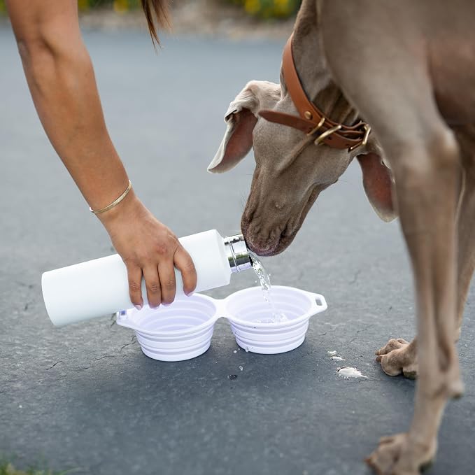 Pup Culture Dual Collapsible Dog Bowls | Silicone Travel Water Bowl for Dogs | Food Grade, No Plastic Rim, Portable Dog Bowl for Food and Water - Easy to Clean | BPA Free and Safe for Your Pup-Orange