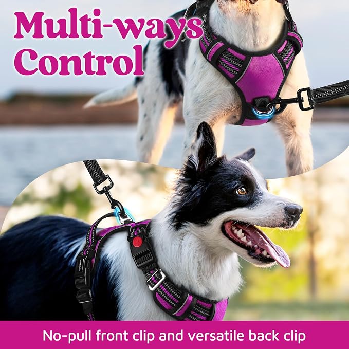 rabbitgoo Dog Harness Medium Sized, 3 Buckles Easy On & Off No Pull Pet Vest, Soft Padded Walking Pet Harness with Control Handle, Adjustable and Reflective, Purple, M