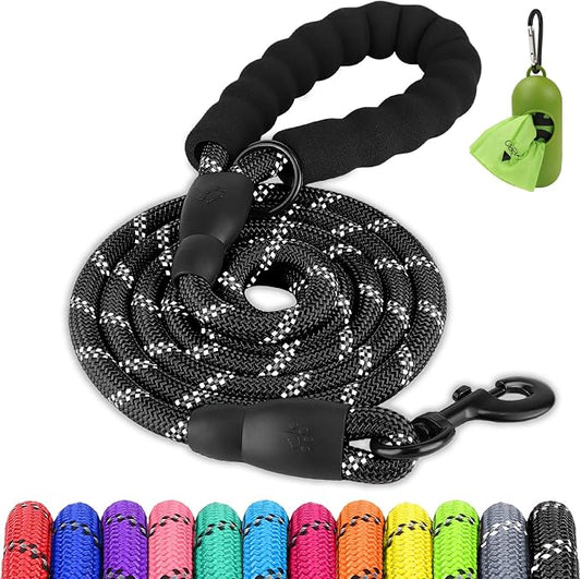 Joytale Dog Leash for Small Dogs, Heavy Duty Nylon Leashes with Comfortable Padded Handle and Highly Reflective Threads, Ideal for Walking and Training, Black, 5'×3/8''