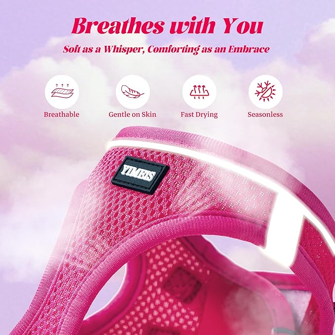 YIMEIS Dog Harness and Leash Set, No Pull Soft Mesh Pet Harness, Reflective Adjustable Puppy Vest for Small Medium Large Dogs, Cats (Rose Red, X-Small (Pack of 1)