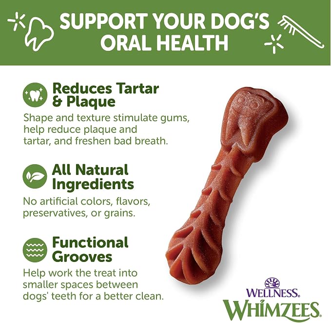 Wellness Whimzees Brushzees Natural Dog Dental Treat, VOHC Accepted Chews, Freshens Breath, Extra-Small Size, 12.7 oz Bag, 48 Count (Pack of 2)