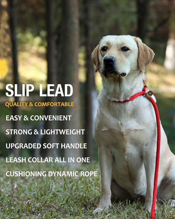 lynxking 5 FT Dog Leash Slip Lead 2 Pack Strong Heavy Duty Braided Dog Training Leash No Pull Training Lead Leashes for Medium Large and Small Dogs