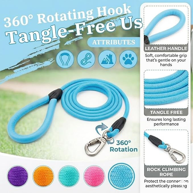 Small Dog Leash, 5ft Dog Leashes for Medium Dogs, Blue Leash, Rope Dogs Leashes, Strong Nylon Pet Lead, Pet Leather, Puppy Lead, Comfortable Leather Handle (Mint Blue, 5 Feet)