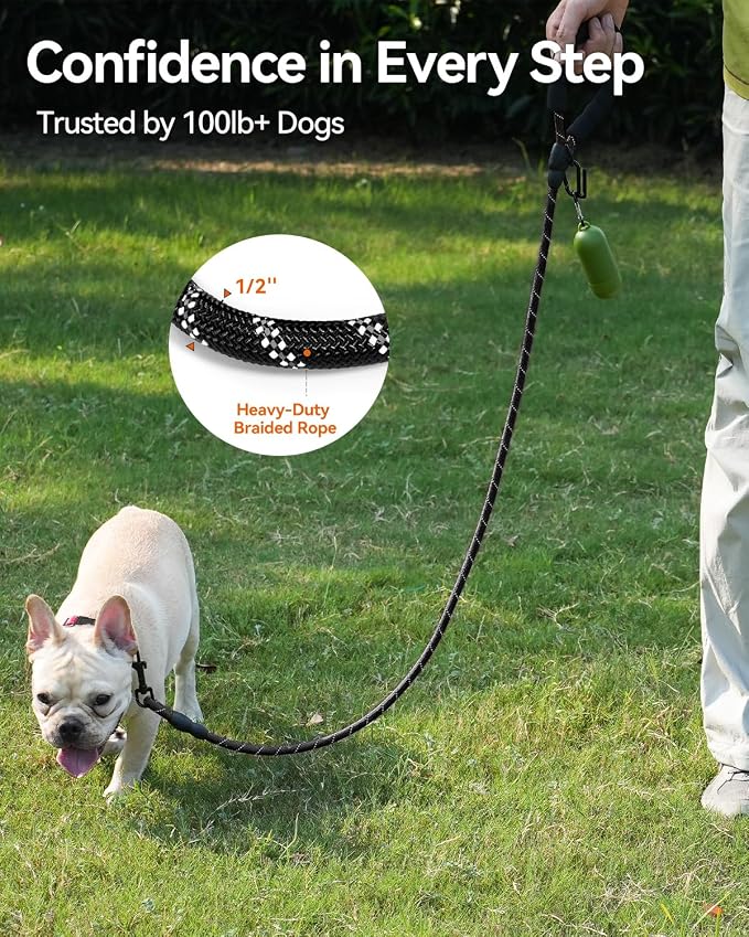 Joytale Dog Leash for Small Dogs, Heavy Duty Nylon Leashes with Comfortable Padded Handle and Highly Reflective Threads, Ideal for Walking and Training, Black, 5'×3/8''