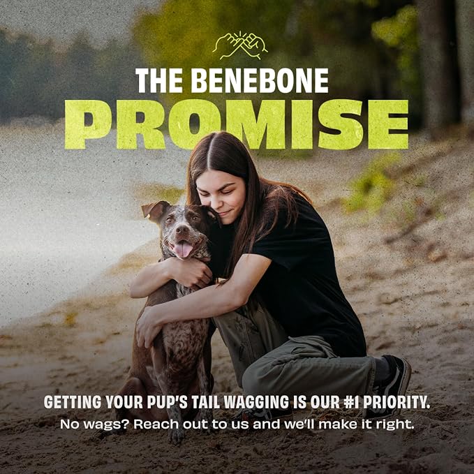 Benebone Natural Rubber Dog Ball