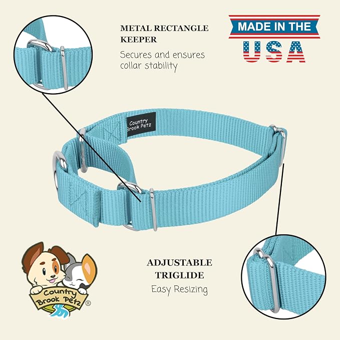 Country Brook Petz - Martingale Dog Collar - Heavy-Duty Training Collar with No Buckle - Service Dog Collar for All Pups - 20 Vibrant Colors (Ocean Blue, 3/8 Inch, 2XS)