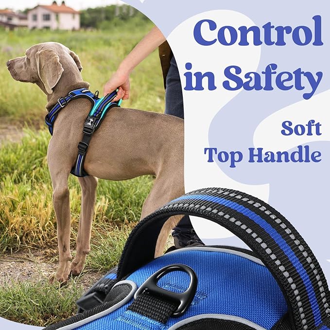 rabbitgoo Dog Harness for Large, No Pull Easy On & Off with 3 Buckles Pet Harness, Adjustable Soft Walking Vest with 2 Clips and Handle, Reflective for Large Dogs, Blue, L