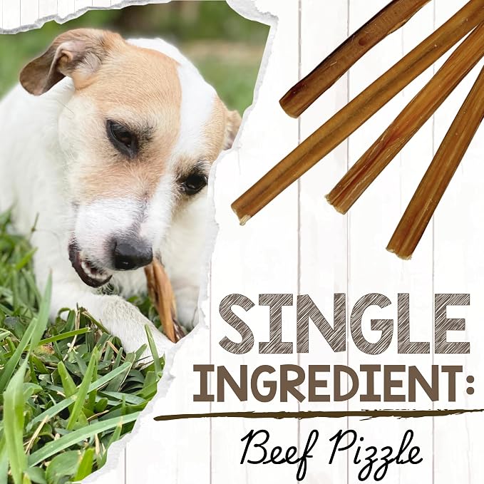 Nature Gnaws Small Bully Sticks for Dogs 5-6" (15 Count) - Long Lasting for Light Chewers and Puppies - Natural Thin Beef Dog Chew Bones - Rawhide Free