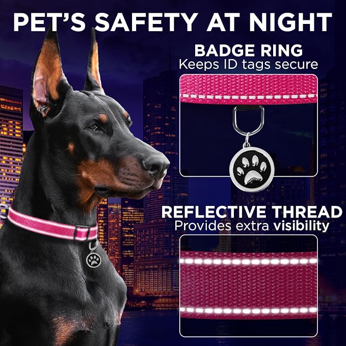 TECEUM Reflective Dog Collar – Hot Pink – S – Extra Soft Padding – Basic Nylon Pet Collar – Quick Release Buckle – Fits Small, Medium and Large Dogs, Puppies, Cats – ESA & Service Dog Options