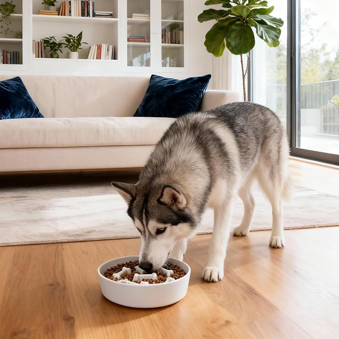 Ceramic Slow Feeder Dog Bowls, Ceramic Slow Feeder Maze Dog Food Bowl, Slow Eating Dog Bowl and Slow Feeder Dog Bowl Anti-Choking for Daily Pet Feeding （White Bone）