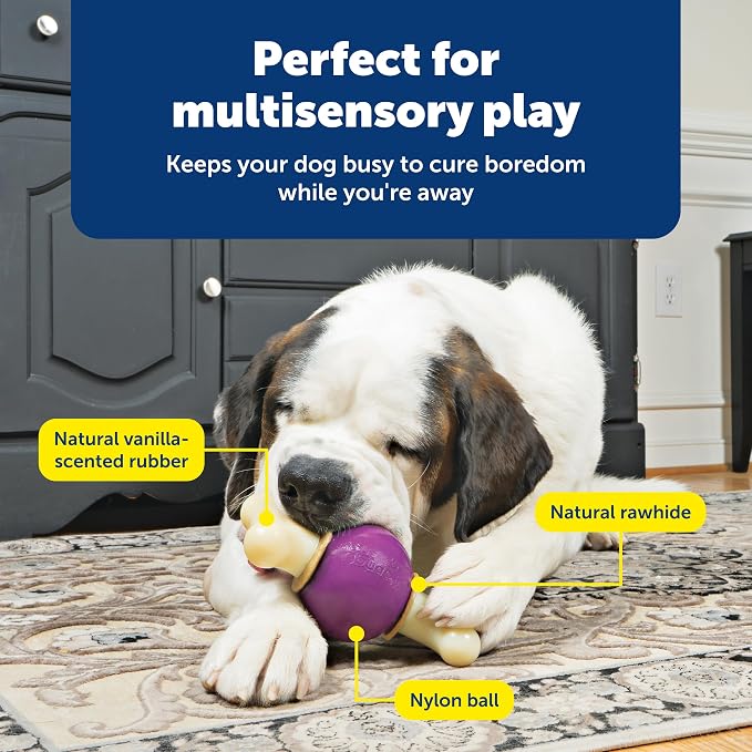 PetSafe Busy Buddy Bouncy Bone, Treat Holding Dog Toy, Large, Best for Dogs Over 75 Lb.