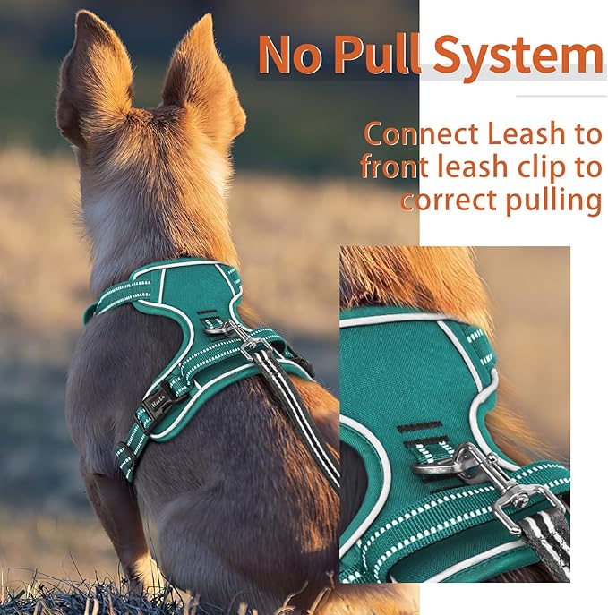 HEELE Dog Harness for Large Dogs No Pull Dog Vest Harness for Large Dog with Soft Padded Handle Reflective for Outdoor Training, Grass Green, L