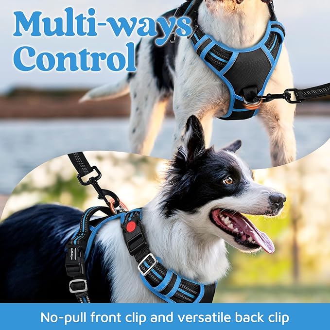 rabbitgoo Dog Harness for Large Dogs, 3 Buckles Easy On & Off No Pull Pet Vest, Soft Padded Walking Pet Harness with Control Handle, Adjustable and Reflective, Black & Sky Blue, L