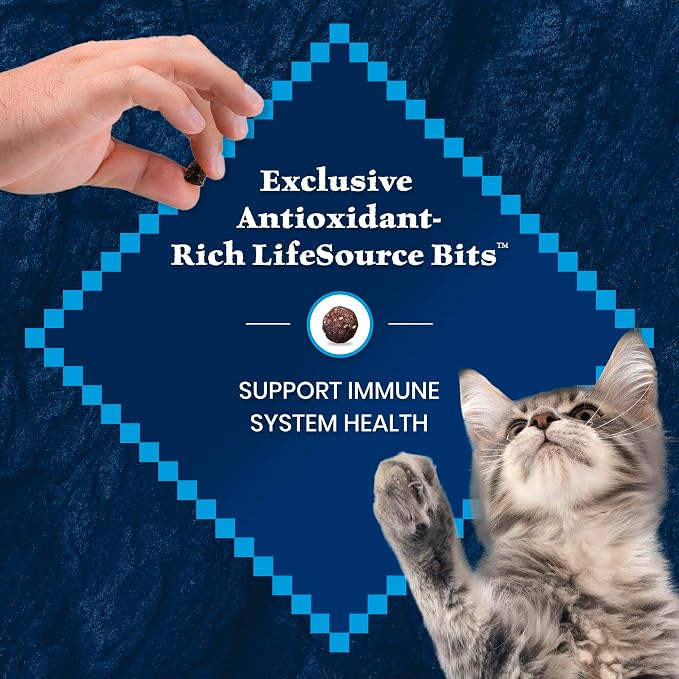 Blue Buffalo Wilderness High-Protein & Grain-Free Dry Food for Kittens, Natural Ingredients with DHA for Cognitive Development, Salmon Recipe, 5lb Bag