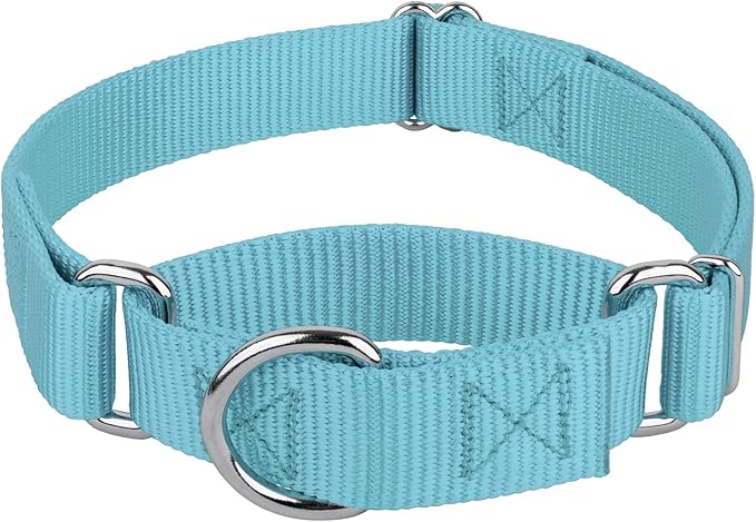 Country Brook Petz - Martingale Dog Collar - Heavy-Duty Training Collar with No Buckle - Service Dog Collar for All Pups - 20 Vibrant Colors (Ocean Blue, 3/4 Inch, Small)