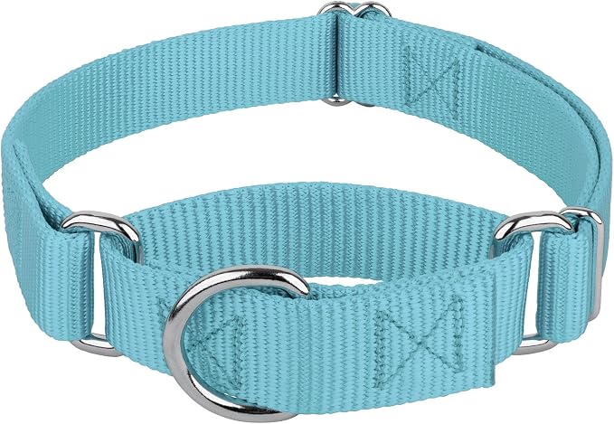 Country Brook Petz - Martingale Dog Collar - Heavy-Duty Training Collar with No Buckle - Service Dog Collar for All Pups - 20 Vibrant Colors (Ocean Blue, 1 Inch, Extra Large)