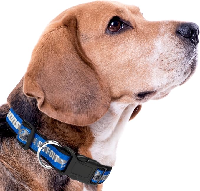 Pets First NFL Detroit Lions Licensed PET COLLAR, Large - Heavy-Duty, Strong, and Durable Dog Collar. Available in 31 Football Teams and 4 Sizes
